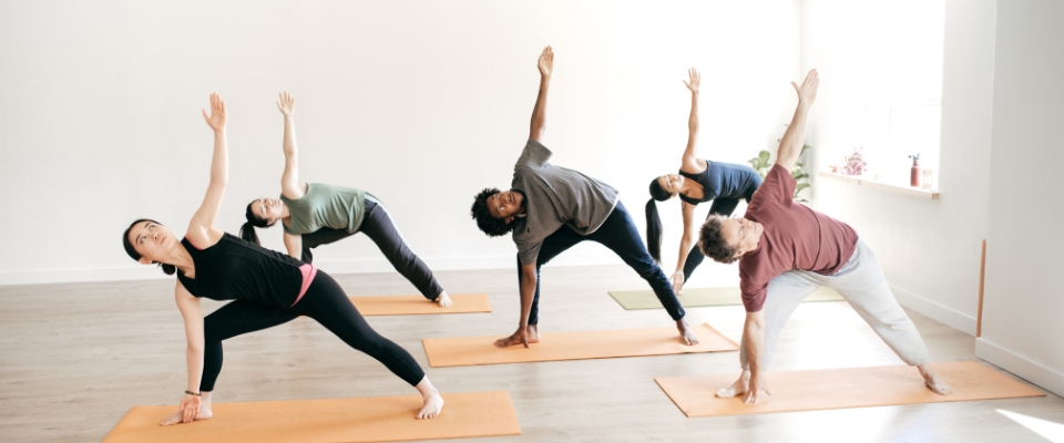 Curs de licențiee BODY FLOW
